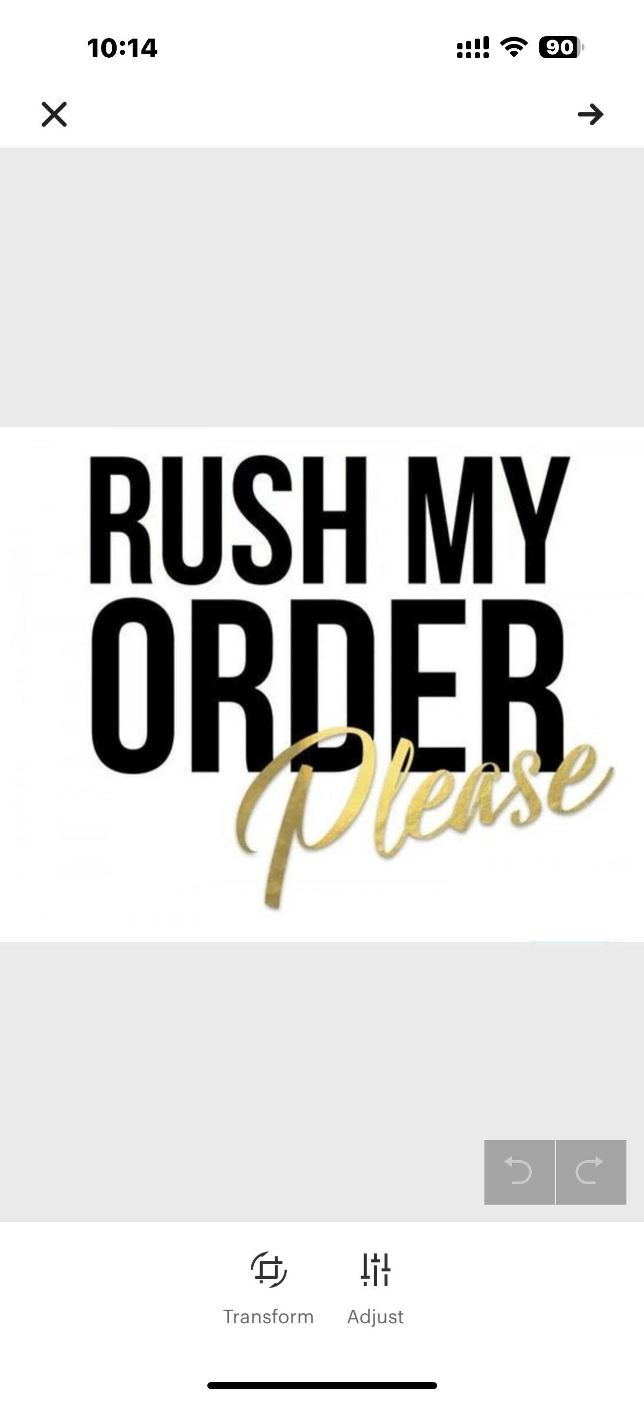 Custom Costume rush fee and overnight shipping