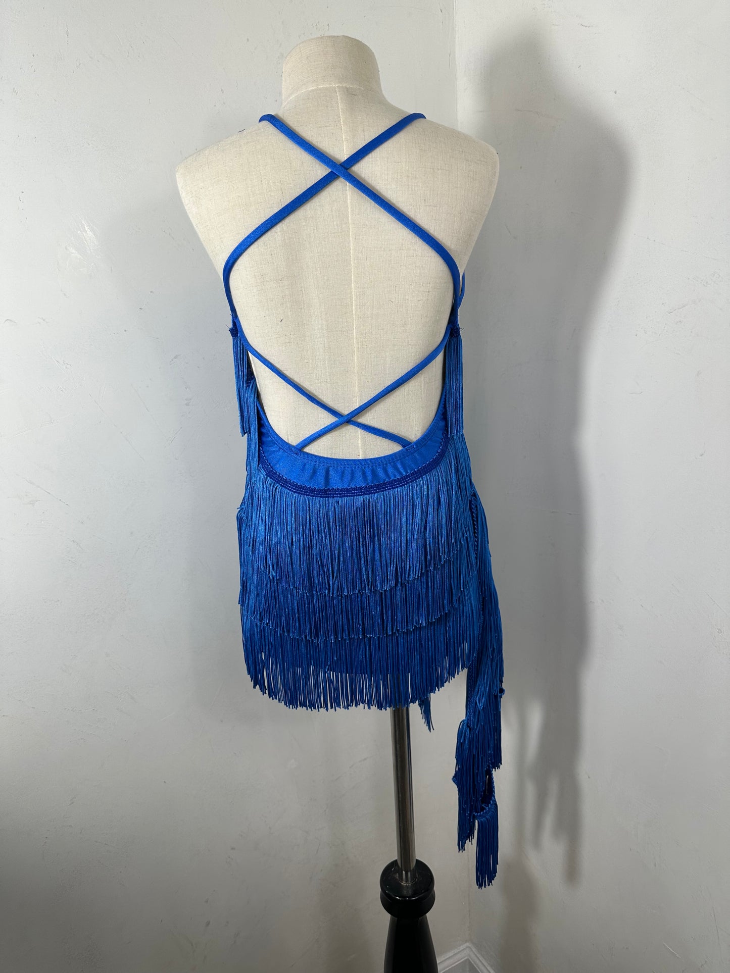 GEORGIA royal jazz partner fringe dance dress