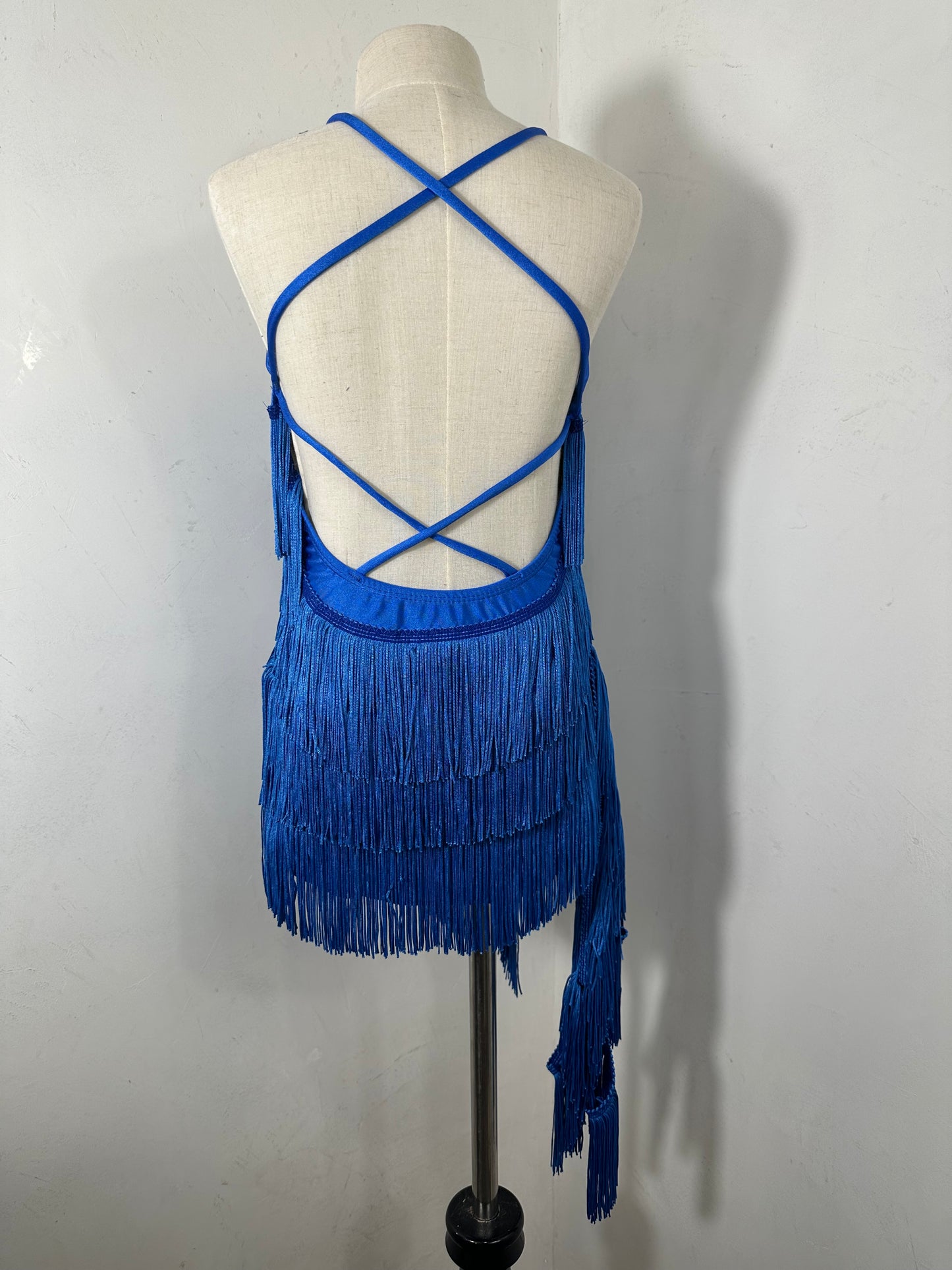 GEORGIA royal jazz partner fringe dance dress