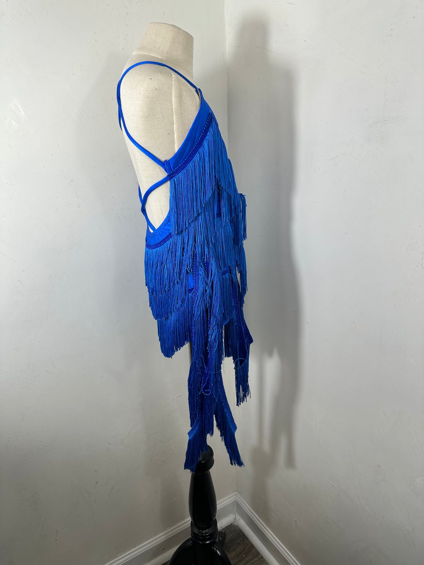 GEORGIA royal jazz partner fringe dance dress