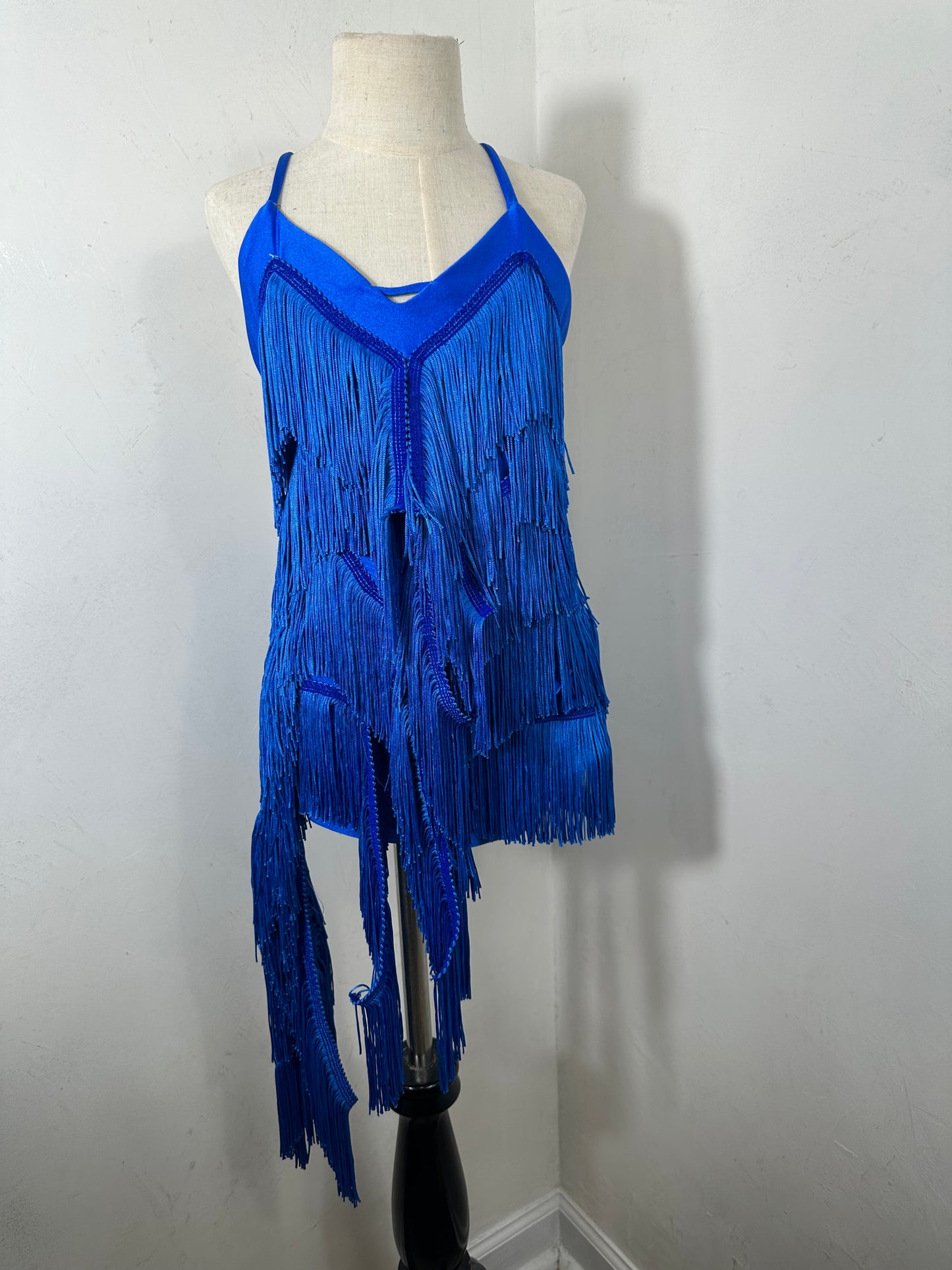 GEORGIA royal jazz partner fringe dance dress
