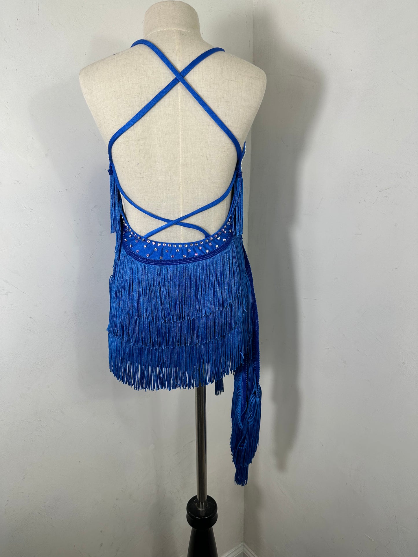 GEORGIA royal jazz partner fringe dance dress
